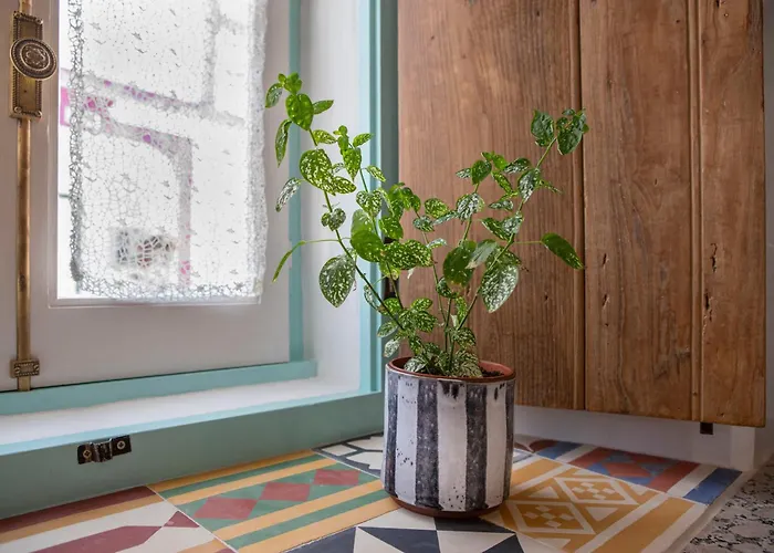 Casa Da Portela, Algarve Tradicional - Geoparque Algarvensis *